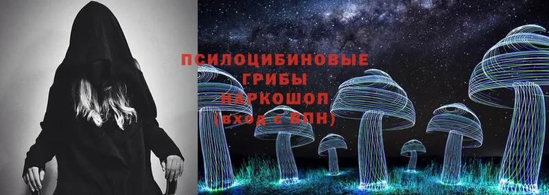 сайты даркнета состав  Миллерово  Псилоцибиновые грибы Psilocybe 